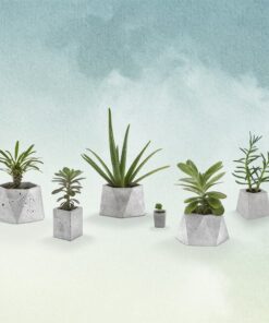 گلدان سیمانی چند وجهی بزرگ