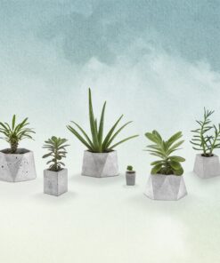 گلدان سیمانی هندسی طرح لوزی