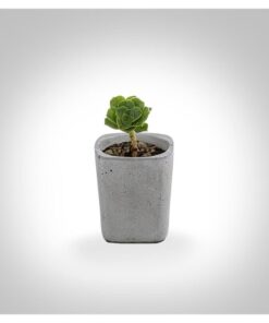 گلدان سیمانی کوچک جام