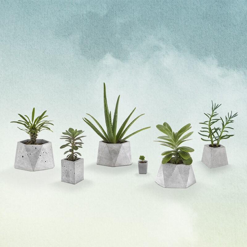 گلدان سیمانی گرد کوچک