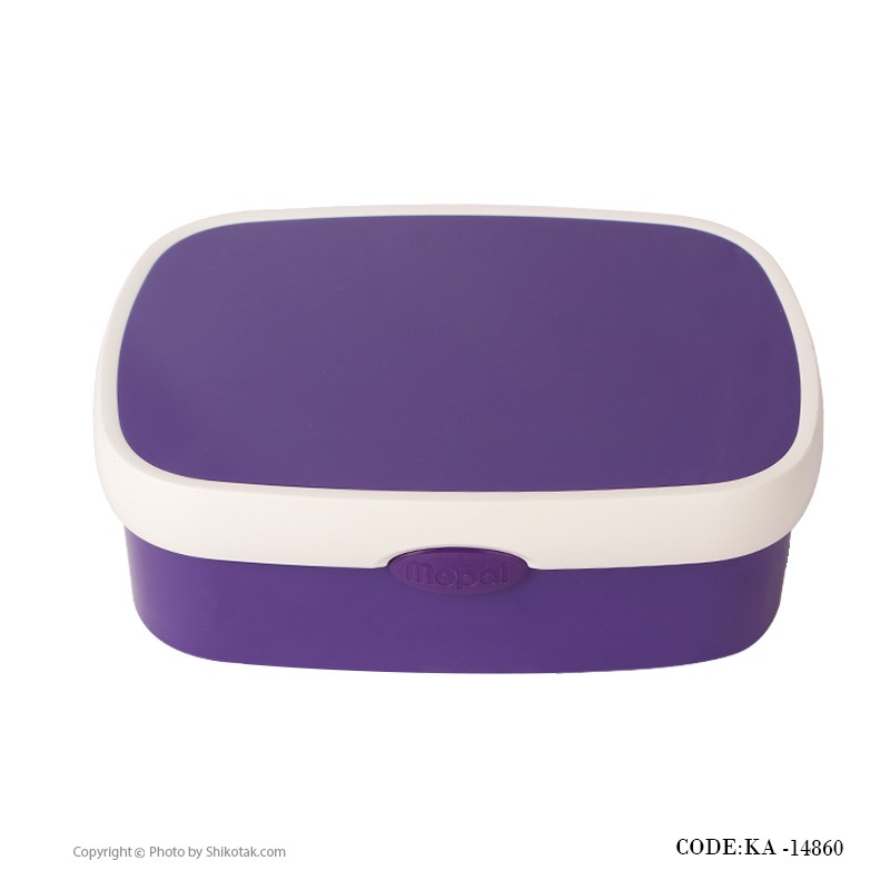 ظرف غذای دربدار تک عددی