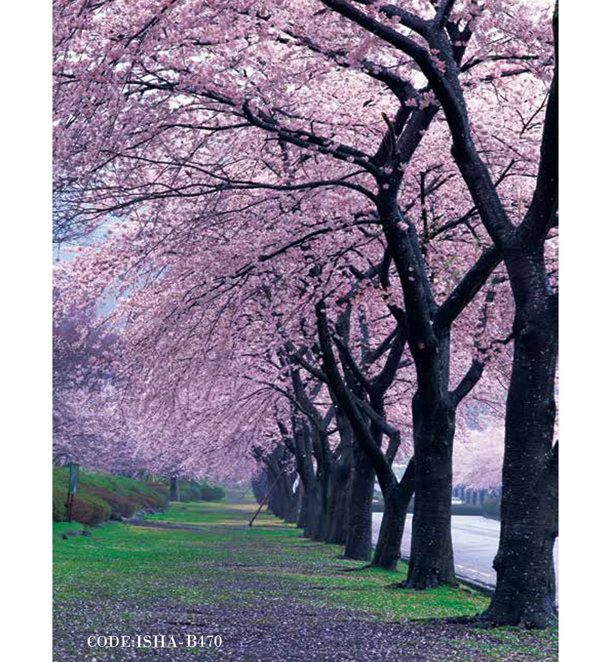 پوستر کاغذی منظره طرح شکوفه