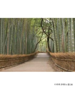 پوستر منظره کاغذی دیواری طرح راه