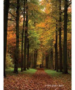 پوستر کاغذی طبیعت دیواری طرح FALL