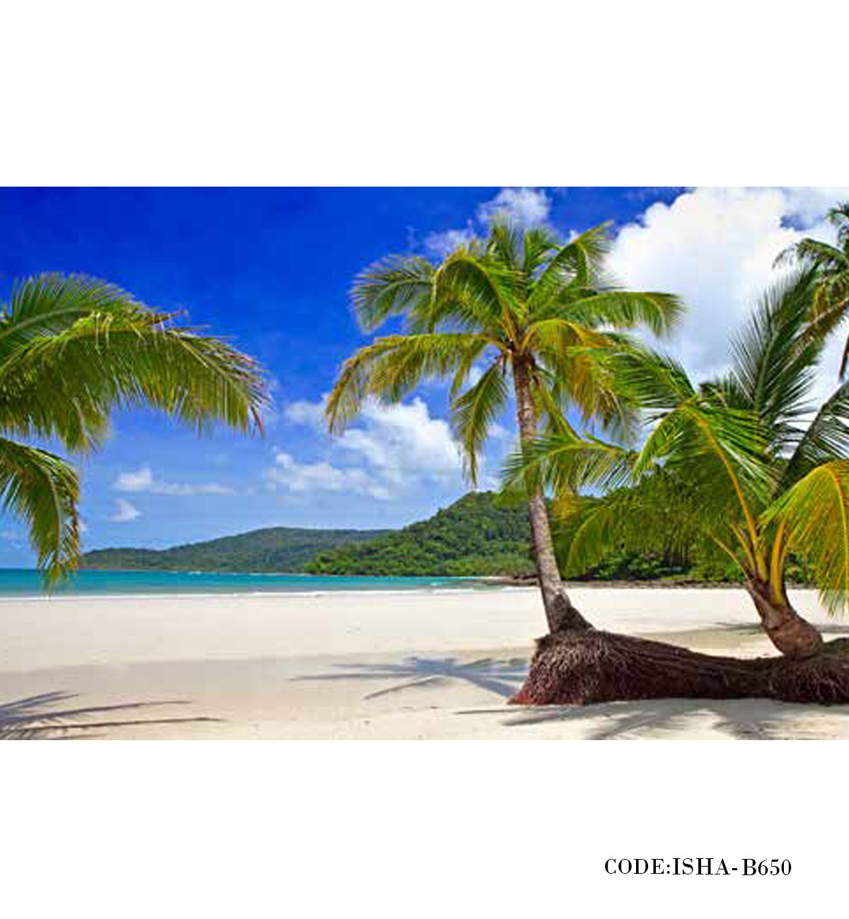 پوستر مناظر کاغذی طرح نخل