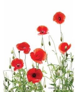 پوستر گل دیواری پارچه ای طرح شقایق