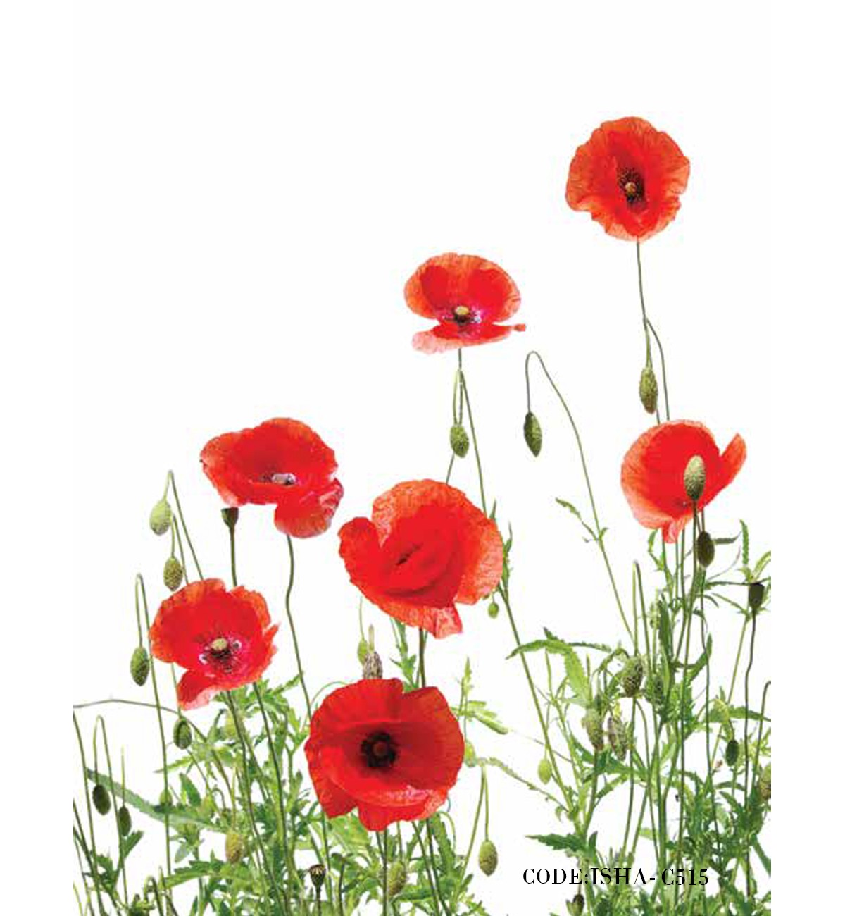 پوستر گل دیواری پارچه ای طرح شقایق