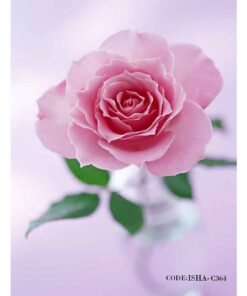 پوستر گل پارچه ای دیواری طرح رز صورتی