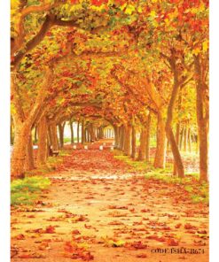 پوستر پارچه ای طبیعت طرح برگ ریزان