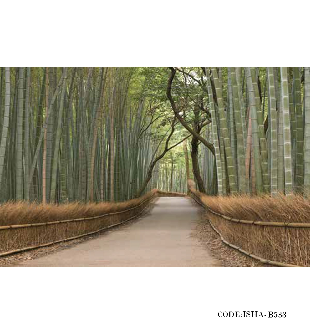 پوستر منظره پارچه ای دیواری طرح راه