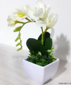 گلدان گل ارکیده