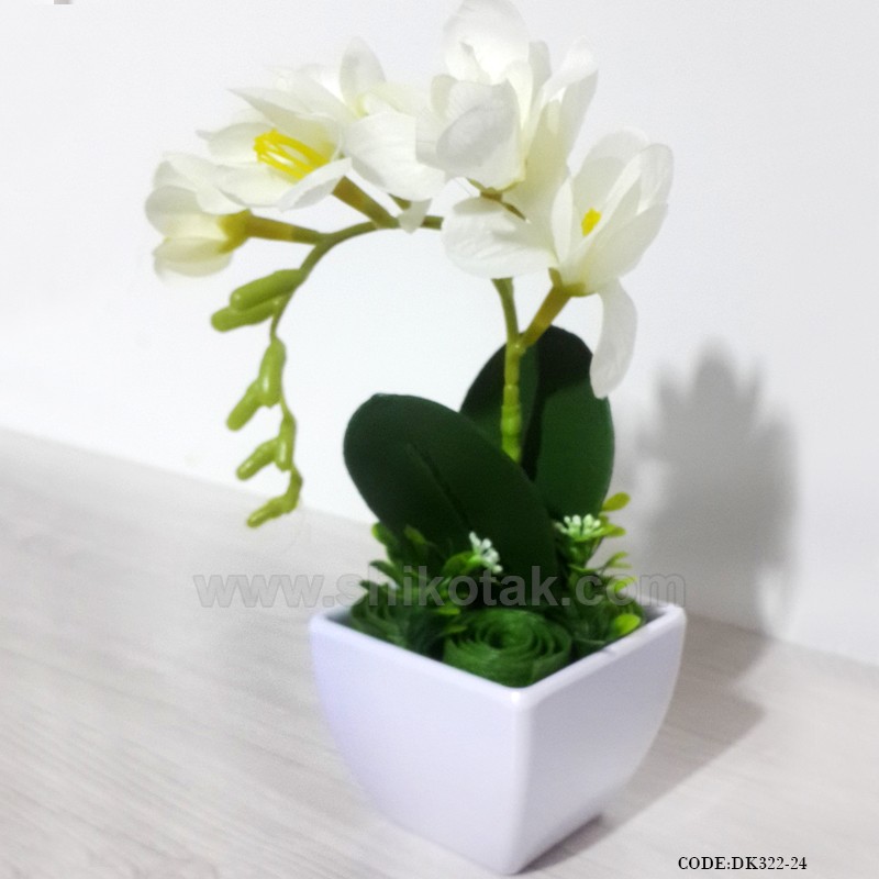 گلدان گل ارکیده