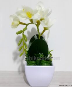 گلدان گل ارکیده