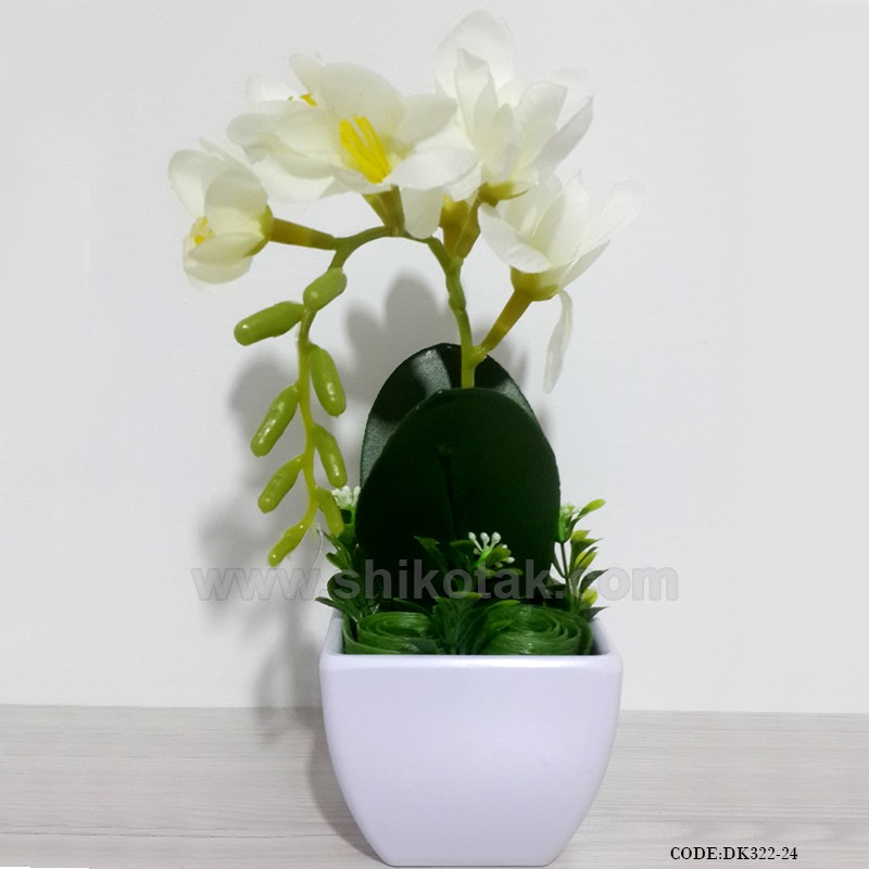 گلدان گل ارکیده