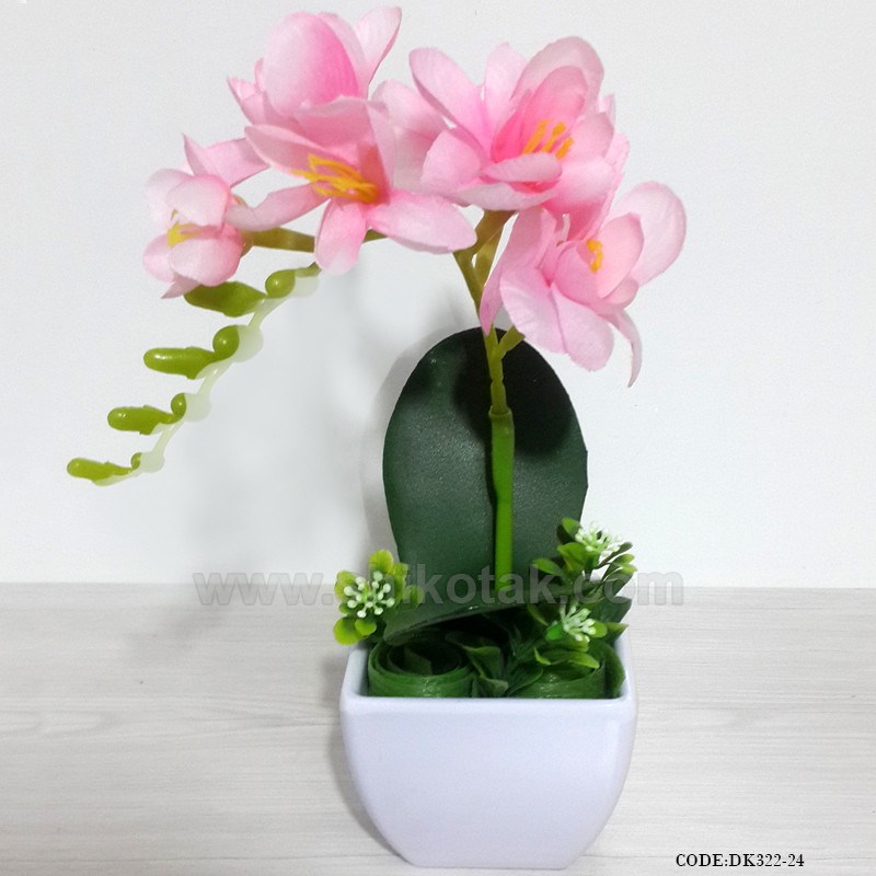 گلدان گل ارکیده