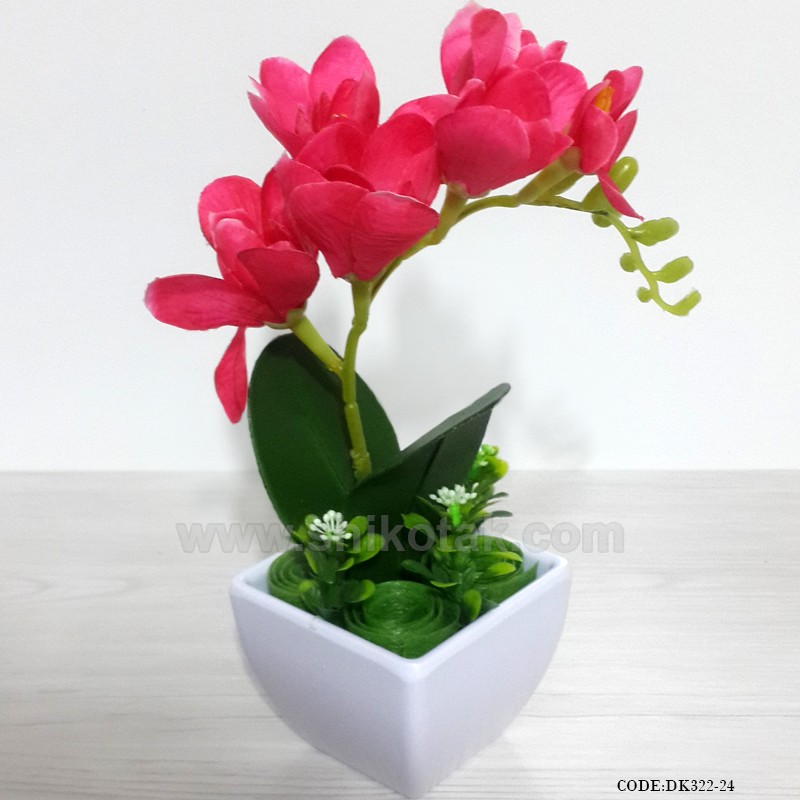 گلدان گل ارکیده