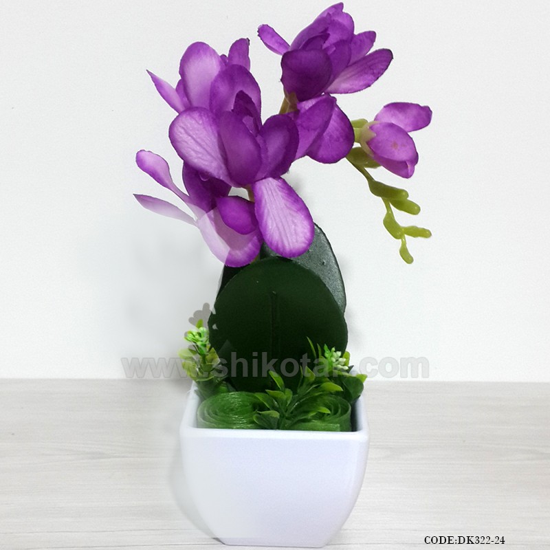 گلدان گل ارکیده