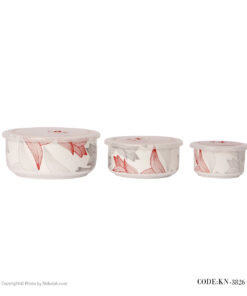 ظروف سه تکه یخچالی درب دار طرح صبا