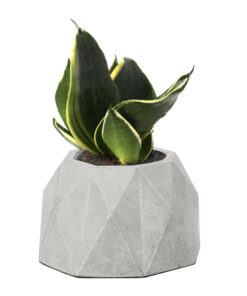 گلدان چندوجهی کوچک طرح DCO2