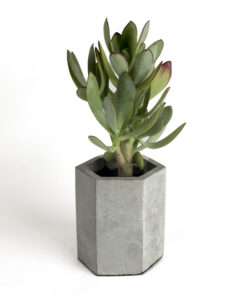 گلدان بتنی 6 ضلعی بزرگ طرح dco8