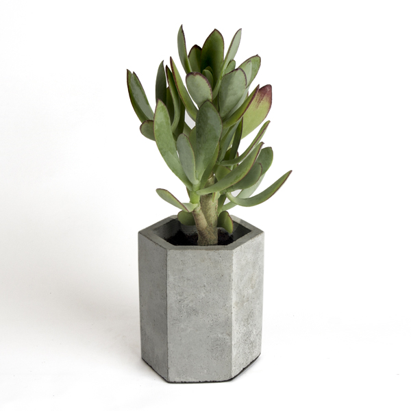 گلدان بتنی 6 ضلعی بزرگ طرح dco8