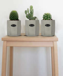 گلدان بتنی 6 ضلعی بزرگ طرح dco8