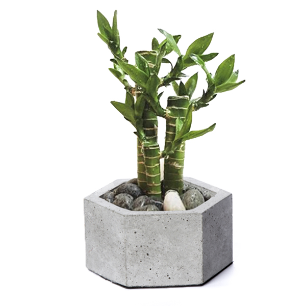 گلدان سنگی 6 ضلعی کوچک طرح dco9