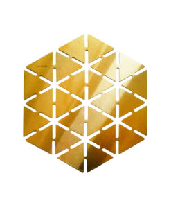 ظرف پذیرایی استیل شش ضلعی طرح  Blaze