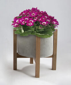 گلدان بتنی با پایه چوبی کد dco48