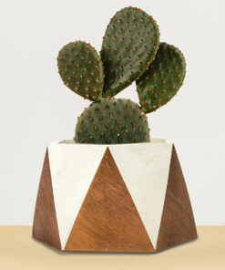 گلدان چندوجهی بزرگ رنگی کدDCO23