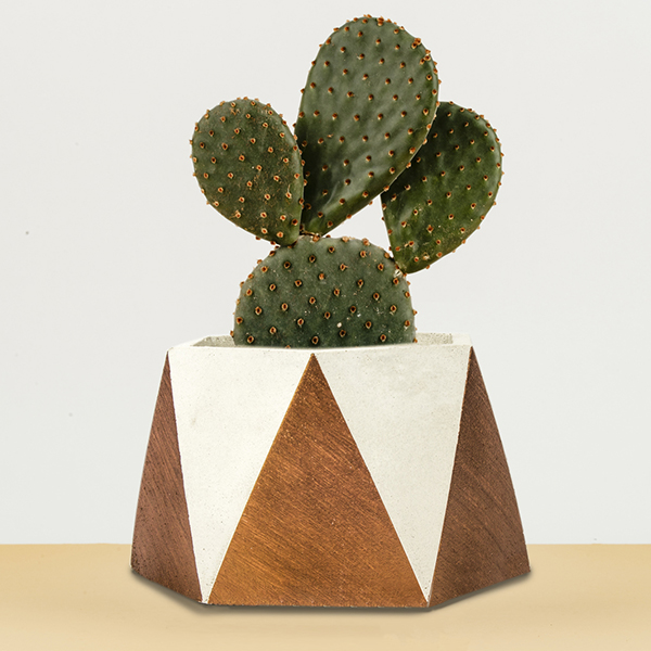 گلدان چندوجهی بزرگ رنگی کدDCO23