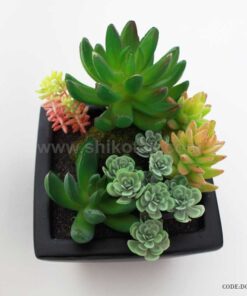 گلدان کاکتوس مصنوعی طرح مکعبی