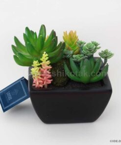 گلدان کاکتوس مصنوعی طرح مکعبی