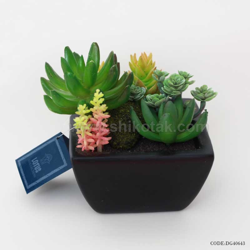 گلدان کاکتوس مصنوعی طرح مکعبی