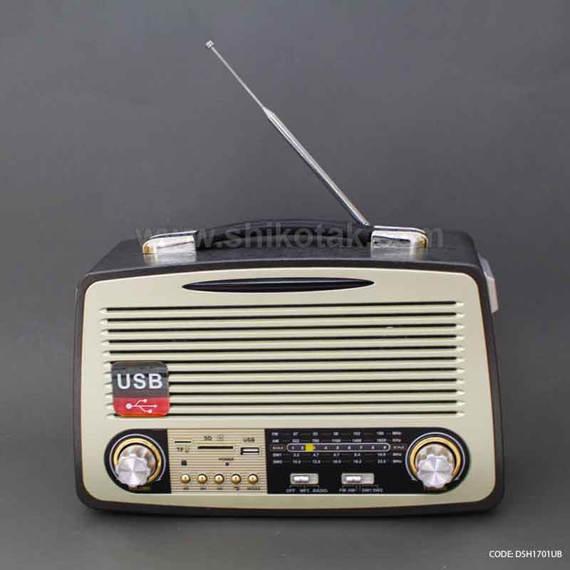 رادیو فلش خور مدل کالین مشکی