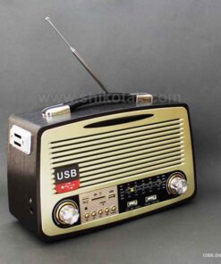 رادیو فلش خور مدل کالین مشکی