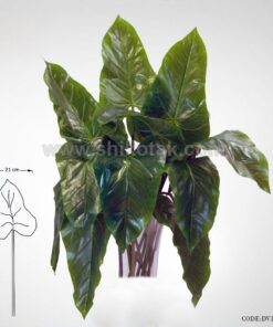 گیاه فیل گوش مصنوعی