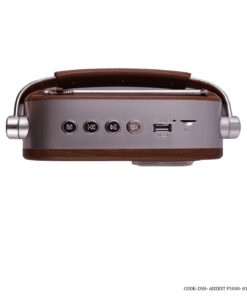 رادیو کلاسیک فلش خور مدل ADZEST-P5000-01 قهوه ای