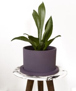 گلدان و زیر گلدانی استوانه ای دکوسیتی مدل Dco87