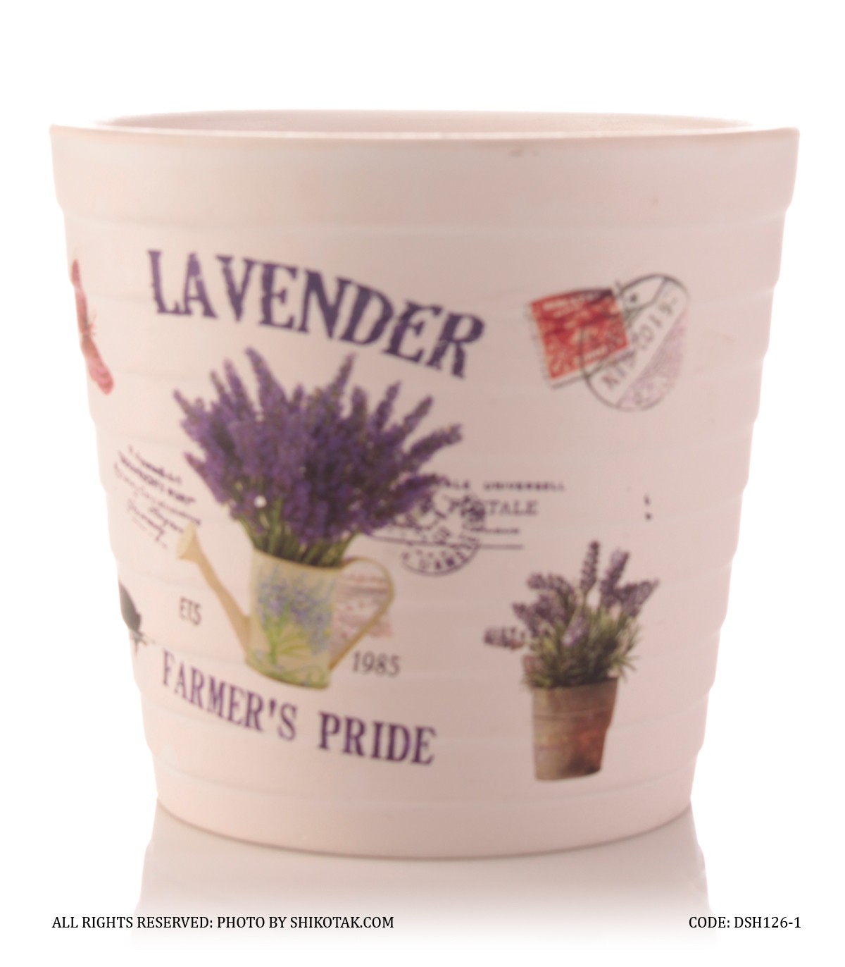 گلدان سفالی گل طبیعی طرح آبپاش