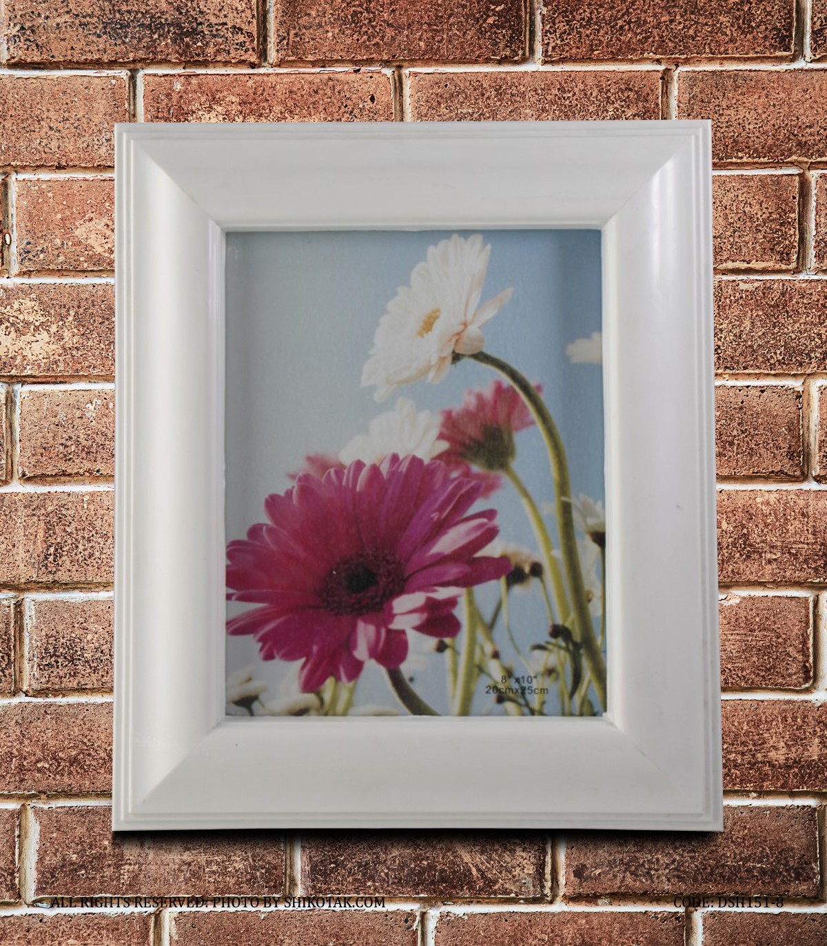 قاب عکس سفید دیواری پلاستیکی مدل فرانسیس