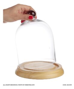 ظرف کاپ کیک پایه چوبی بامبو با درب شیشه ای مدل H55