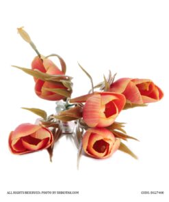 گل لاله مصنوعی