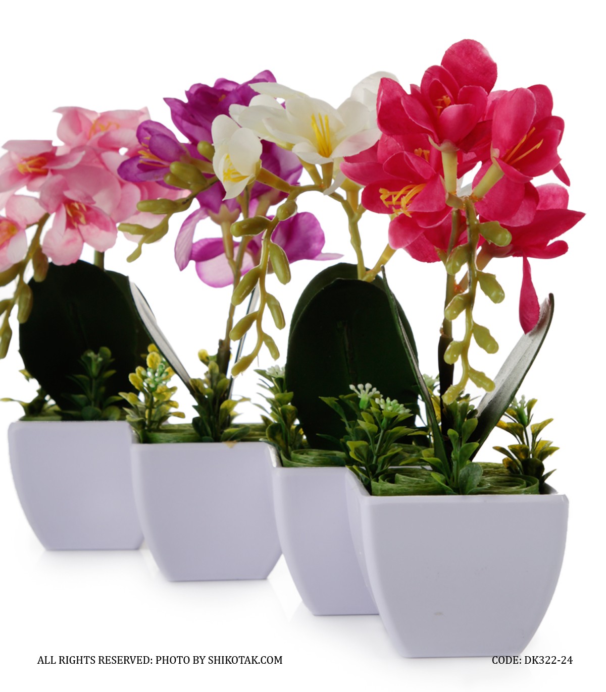 گلدان گل ارکیده