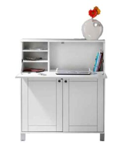 میز تحریر مدرن جوانه جلیس مدل ری