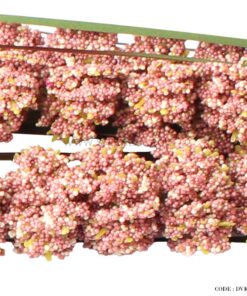 گل نی مصنوعی