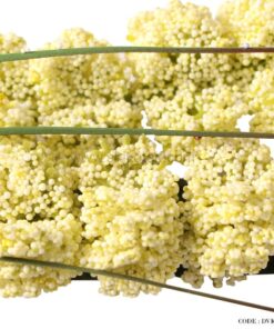 گل نی مصنوعی