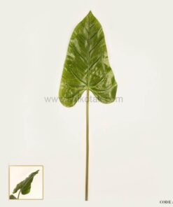 گیاه فیل گوش مصنوعی