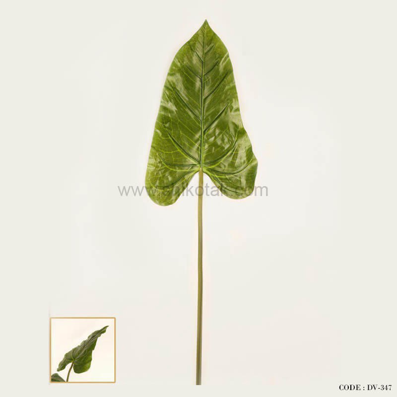 گیاه فیل گوش مصنوعی