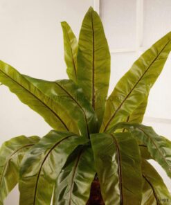 برگ مصنوعی ابایی